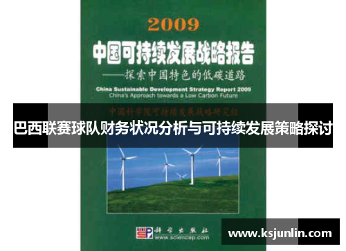 巴西联赛球队财务状况分析与可持续发展策略探讨